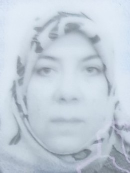 Maysoon Mohammed Hassen