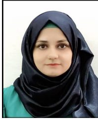 عبير عامر حسن